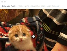 Tablet Screenshot of coloradofolds.com
